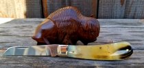 buffalo1.jpg