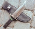 Buck905.jpg