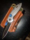 Buck896.jpg