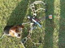 Buck 110 slim, Beagle and Bear Attack.jpg