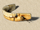 WashingtonTeeth2.gif