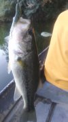20190913_185114-1755x3120.jpg