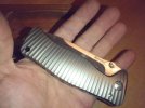 Lion Steel02.jpg