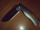 Lion Steel04.jpg