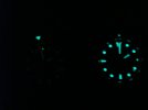 DSC09511.jpg