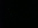 DSC09516.jpg