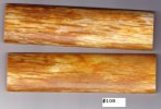 GiraffeBone108_sml.JPG