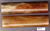 GiraffeBone111_sml.JPG