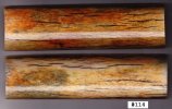 GiraffeBone114_sml.JPG