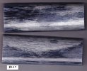 GiraffeBone117_sml.JPG
