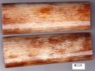 GiraffeBone119_sml.JPG