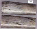 GiraffeBone124_sml.JPG