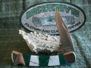 Buck 110 NS Green & White Inlay #1.jpg