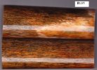 GiraffeBone137_sml.JPG