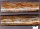 GiraffeBone143_sml.JPG