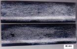 GiraffeBone144_sml.JPG