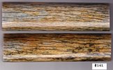 GiraffeBone161_sml.JPG