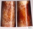 GiraffeBone105_sml.JPG