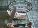 Buck 110 NS Ladder Damascus Drop Point Blade Stag Bone #2.jpg