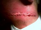 IMG00004-20101028-1707.jpg