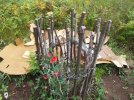 DSCF7430 SWEET PEA COMPOST LASAGNA VEG GARDEN 650 MED.jpg