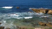 IMG_7226.JPG