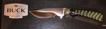 Buck919-4.jpg