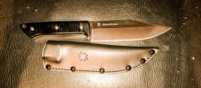SpydercoFB45GP-2.jpg