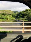 743EAD08-6EF5-4478-9FE9-3C4E0D40F6CB.jpeg