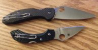 Mantra 3 and Dragonfly ZDP.JPG