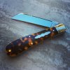 GEC_93_tortoise2.jpg
