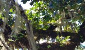 20191005_162620-3024x1774-1512x887-1134x665.jpg
