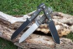 SH two INFI and one A2.jpg
