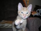 DSCN0455.JPG