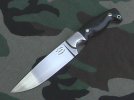 Model10micarta.jpg