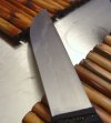 largetanto2.jpg