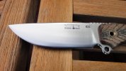 DSC01025.jpg