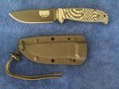ESEE-4 #6.jpg