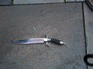 stag bowie 019.jpg