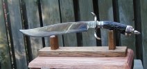 stag bowie 018.jpg