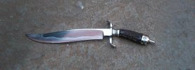 stag bowie 019.jpg