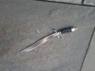 stag bowie 033.jpg