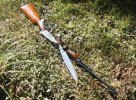 stag bowie 037.jpg