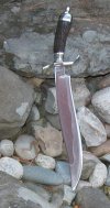 stag bowie 015.jpg