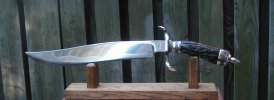 stag bowie 017.jpg