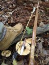 fall deer season - 1.jpg