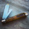 GEC_92_camel_02.jpg