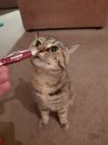 pepper2.jpg