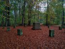 IMG_20191018_094015.jpg