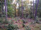 IMG_20191018_094853.jpg